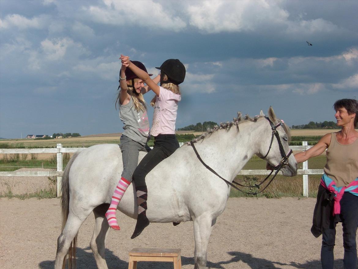 Anden særlig race Juro's L.A. Angel (Musse) billede 6