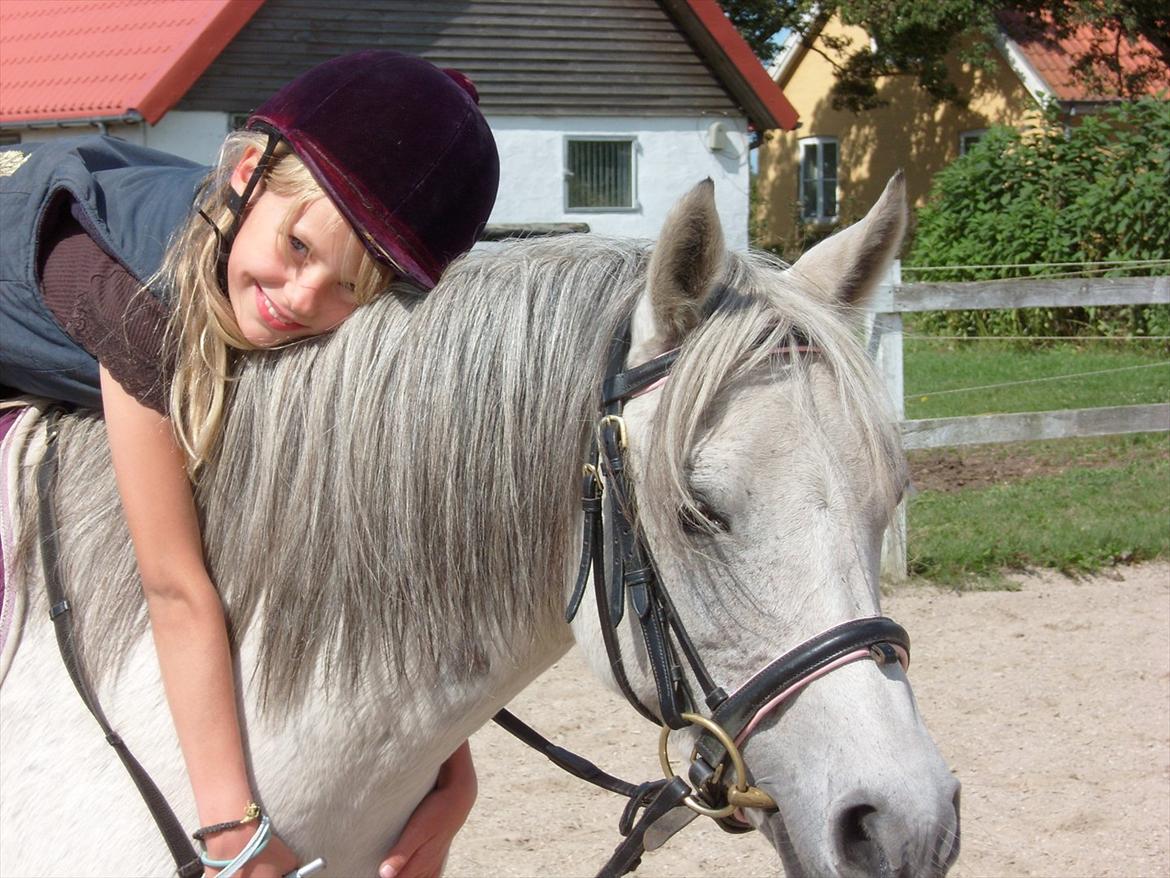 Anden særlig race Juro's L.A. Angel (Musse) billede 7