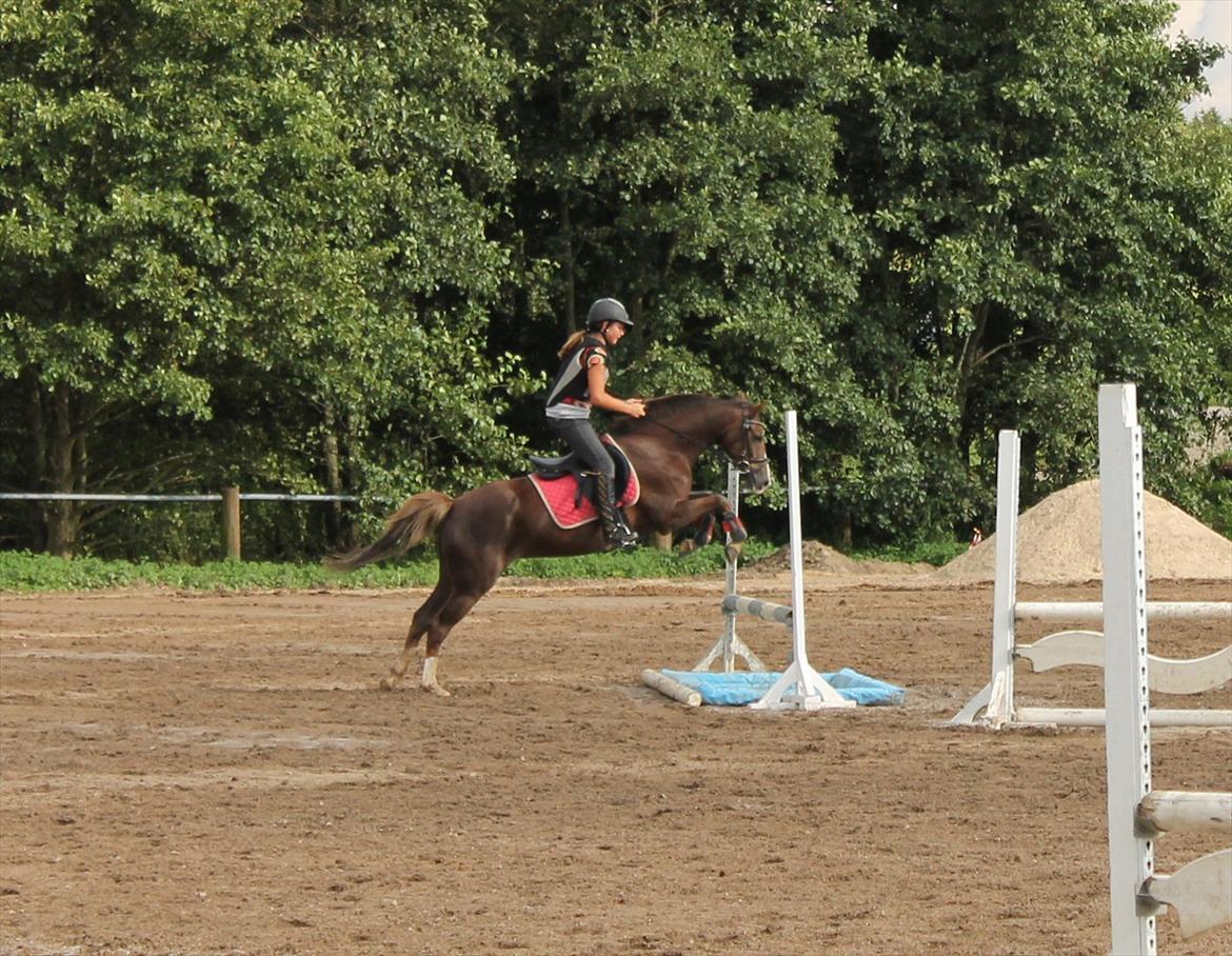 Tysk Sportspony starpower ladysmock /smokie - stor vand;-) billede 4