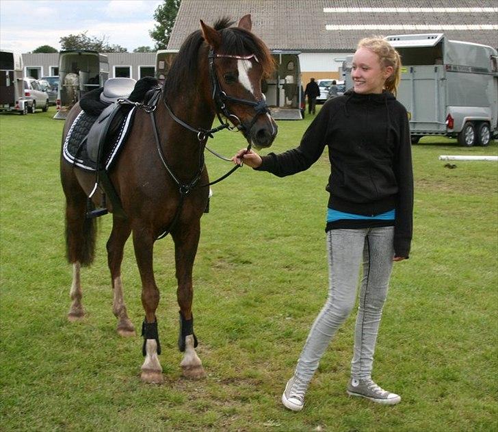 Appaloosa Bandana Joe *Byttet;/* billede 14