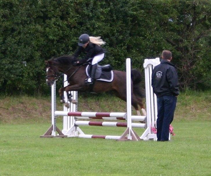 Appaloosa Bandana Joe *Byttet;/* billede 20