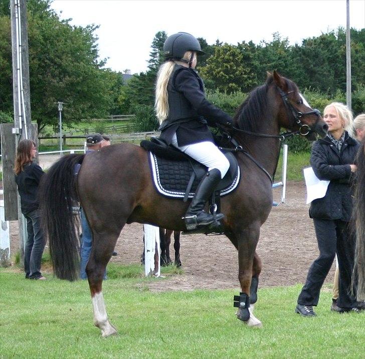 Appaloosa Bandana Joe *Byttet;/* - 10) Joey og Mikkeline;* billede 10