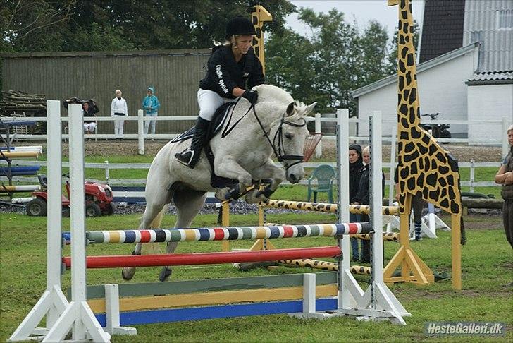 Anden særlig race Micky <3 - LD på NMRC 2011, 3. plads - Micky var flyvende! billede 6