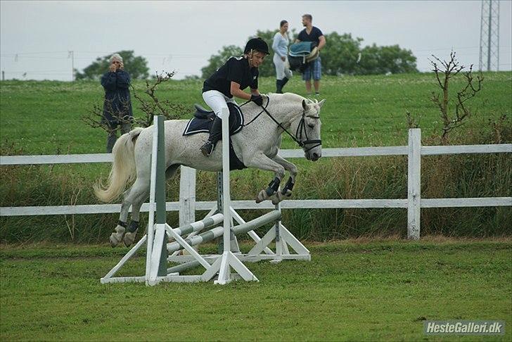 Anden særlig race Micky <3 - LD hold på NMRC 2011: "Det er da barnemad", siger Micky, "Jeg flyver i stedet for at hoppe!" :D billede 12