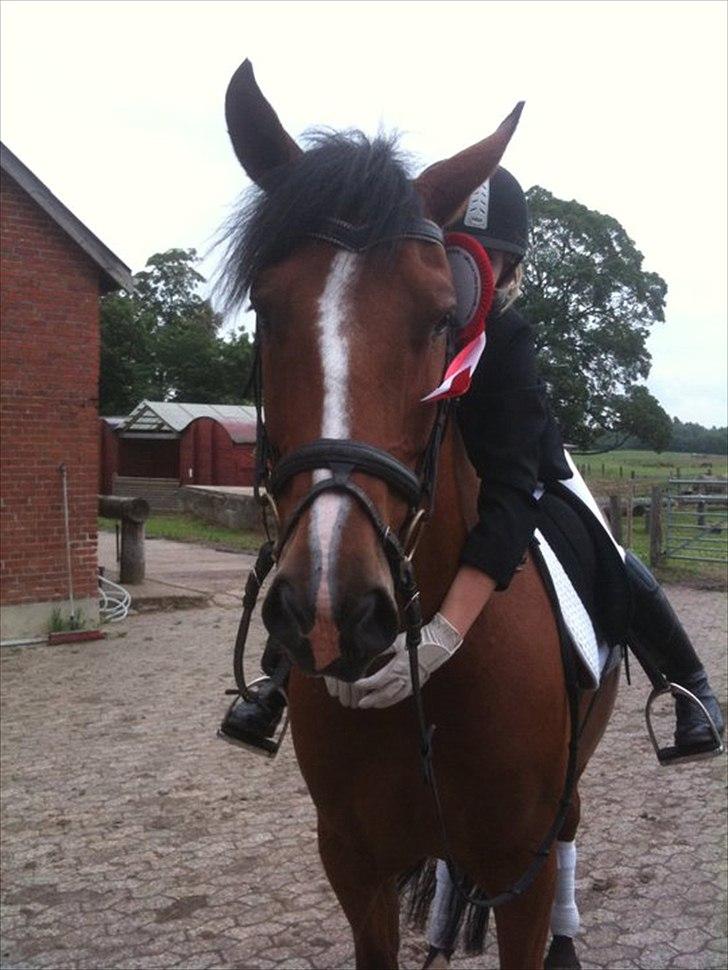 Anden særlig race Jack - Jack og mig til stævne i kongsvad foto: Nanny M. billede 4