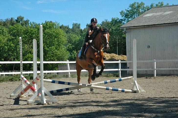 Anden særlig race Jack - Emilie springer foto: Marie-Louise K. billede 6