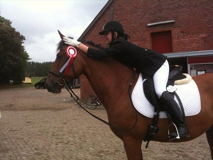 Anden særlig race Jack - Stævne i kongsvad foto: Nanny M. billede 7