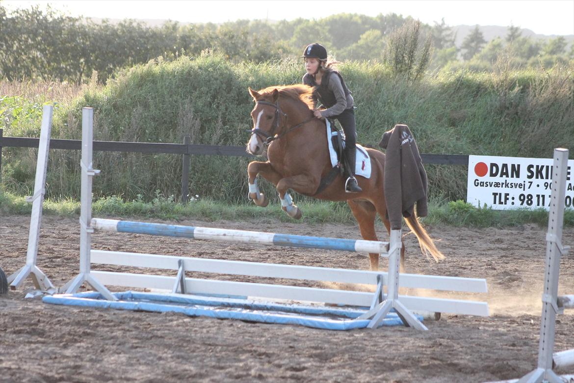 DSP Lejaro Rouge billede 5