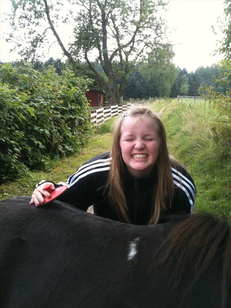 Shetlænder Thomsen - mig!!. billede 20