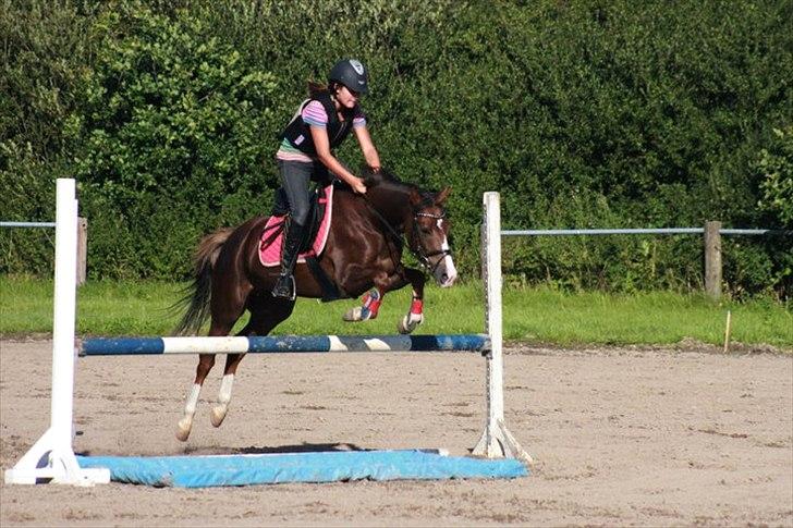 Tysk Sportspony starpower ladysmock /smokie - vand:D billede 11