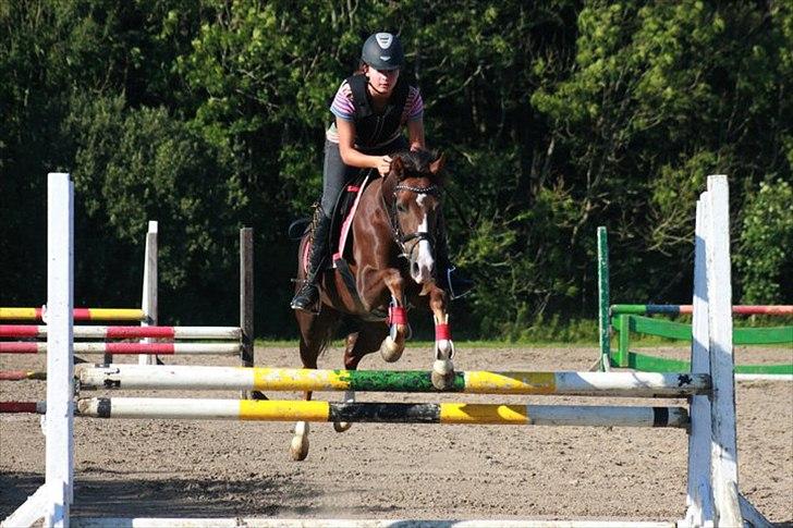 Tysk Sportspony starpower ladysmock /smokie - spriing:D
 billede 8