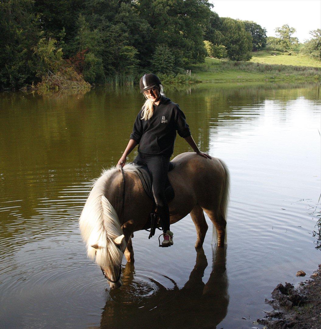 Islænder Ljomi R.I.P. billede 8