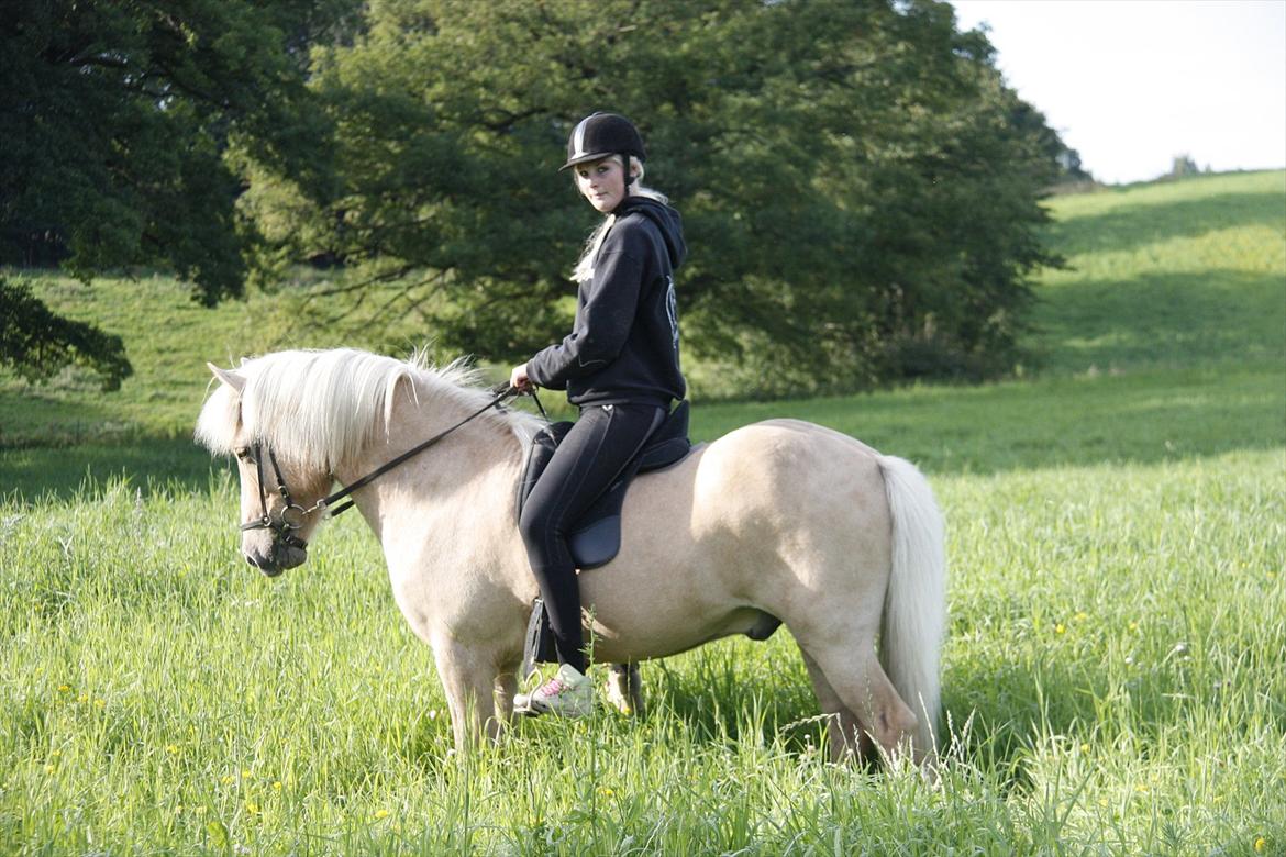 Islænder Ljomi R.I.P. billede 9