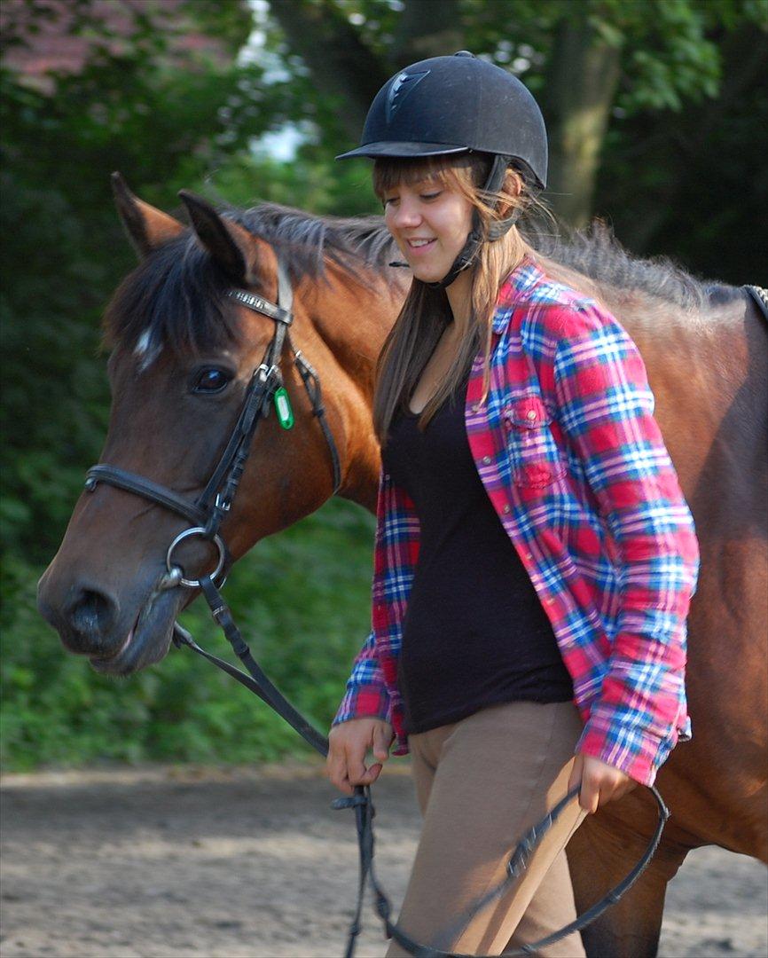 New Forest Moonlight    (rider) - du er fantastisk<3 billede 6