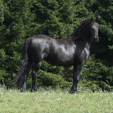 Frieser Julia af Karmark