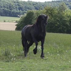 Frieser Julia af Karmark