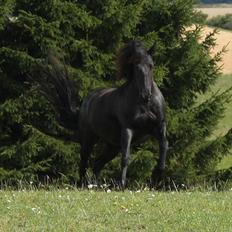 Frieser Julia af Karmark