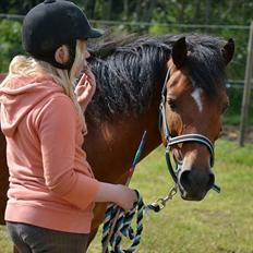 Anden særlig race Ivan (Charmetrolden) :D