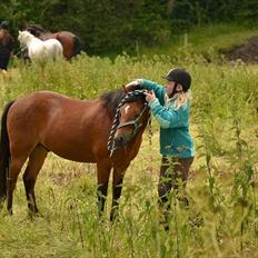 Anden særlig race Ivan (Charmetrolden) :D