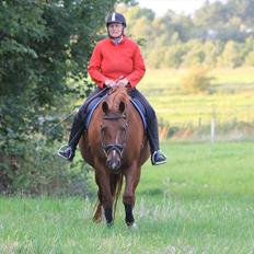 Frederiksborg Taizi brentedal