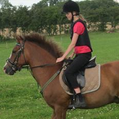 Anden særlig race Røde/Taz