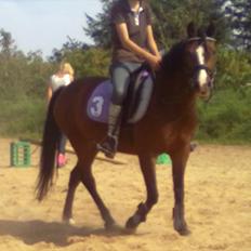 Anden særlig race Bakkelys Lucky Lady<3