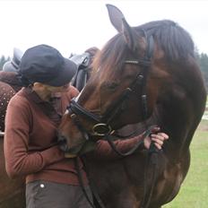 Anden særlig race Monty Hedegaard