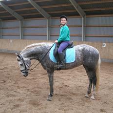 Connemara Borks Dixie Girl