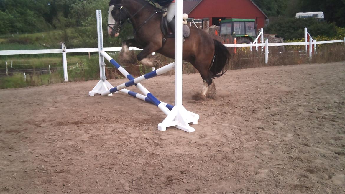 Tinker Akillieus/Jarjar - 28 maj billede 16