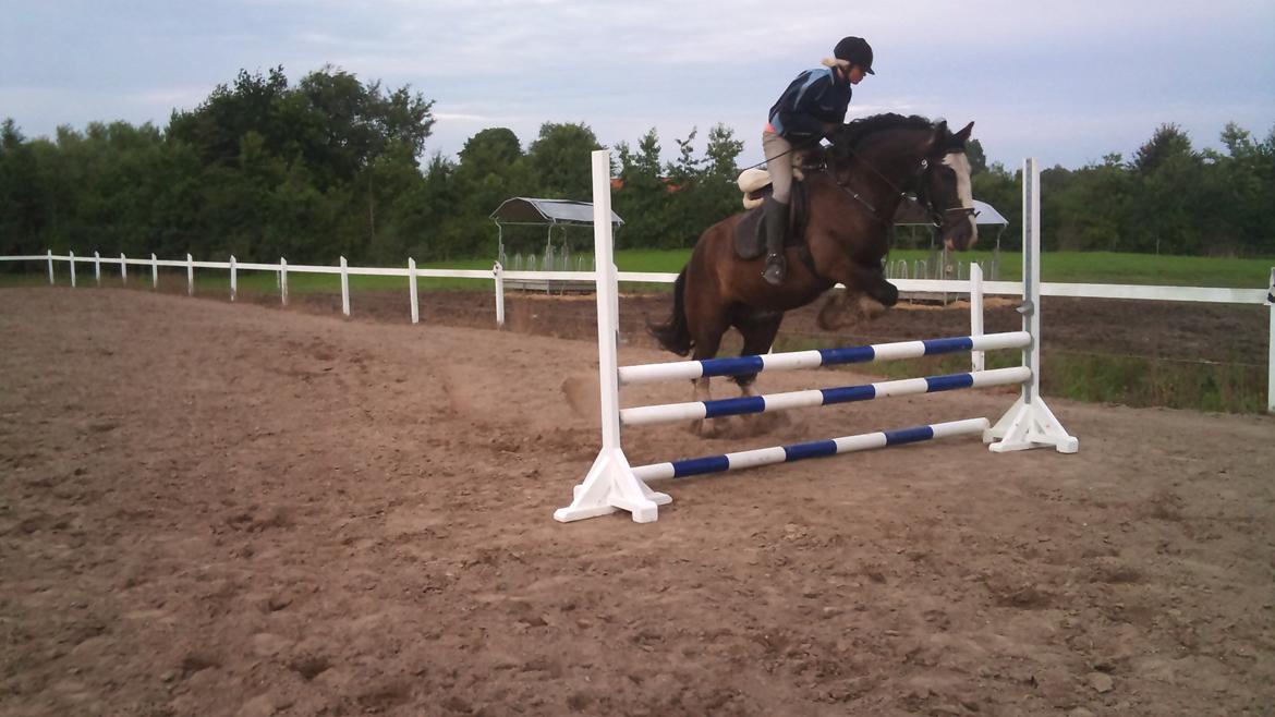 Tinker Akillieus/Jarjar - 28 maj billede 17