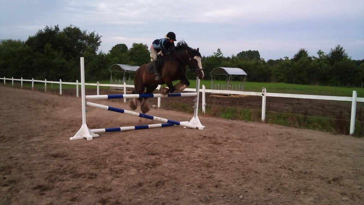 Tinker Akillieus/Jarjar - 28 maj billede 20