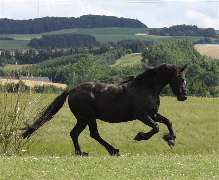 Frieser Julia af Karmark billede 13