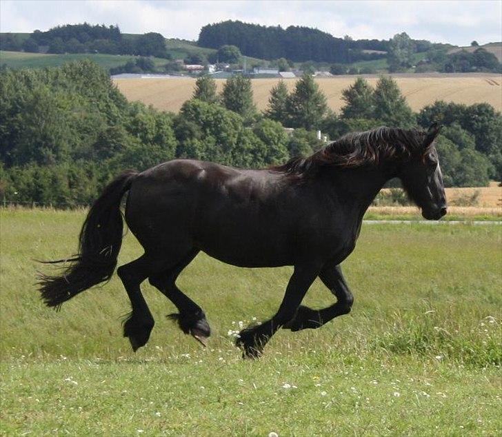 Frieser Julia af Karmark billede 14
