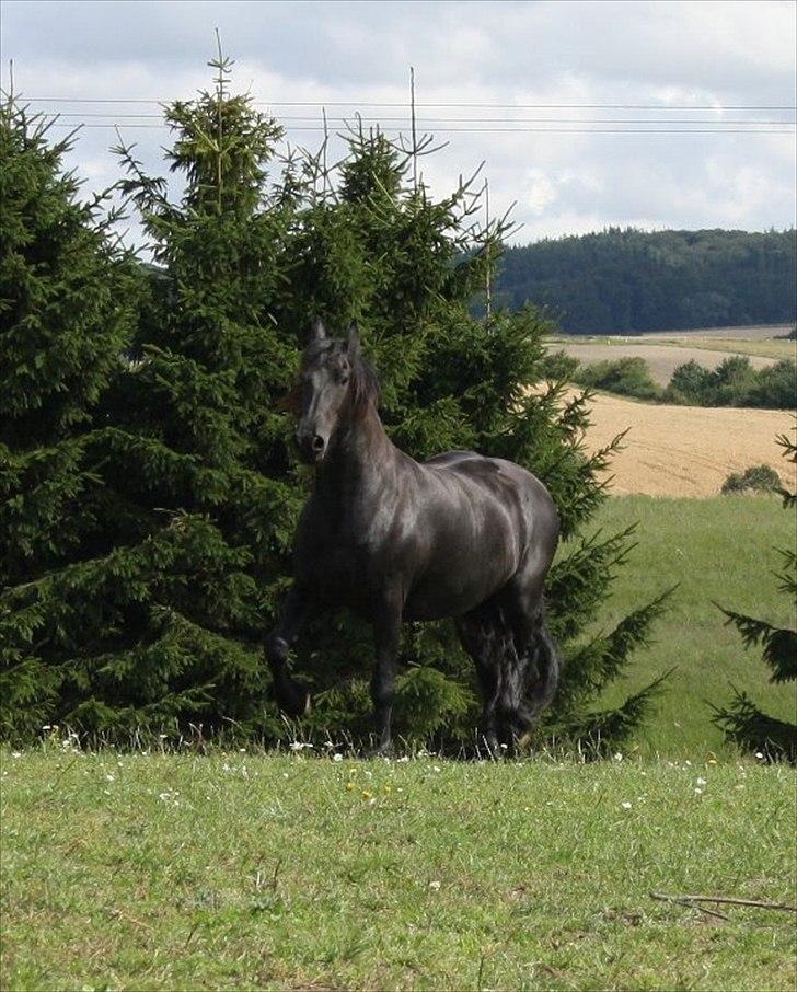 Frieser Julia af Karmark billede 16