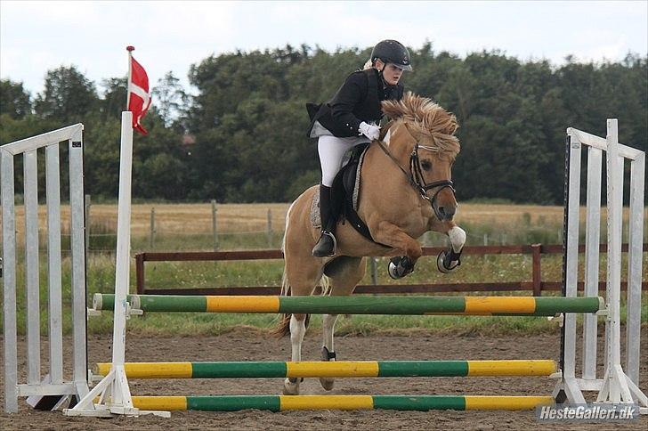 Anden særlig race Molly<3 - LC spring i DDHS 2011 - NB Foto billede 5