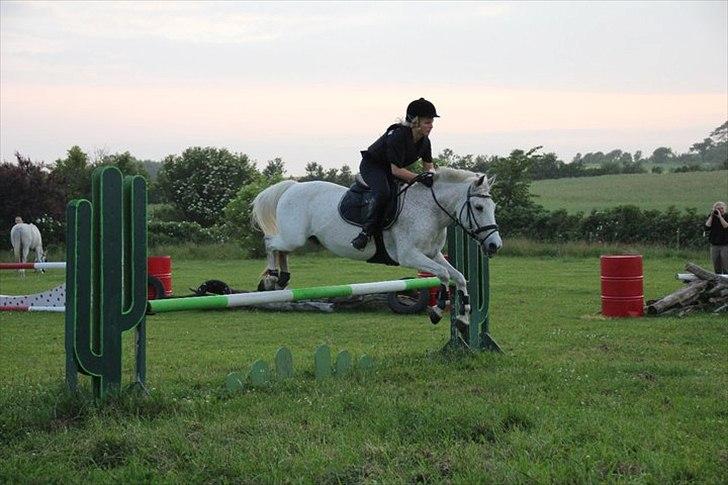 Anden særlig race Micky <3 - På Sindbjerg ridelejr 2011 - det var en af de bedste uger i mit liv, fordi det meste af tiden gik med at være sammen med Micky!  billede 17