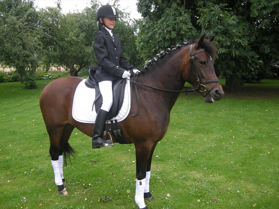 New Forest Hamborgs Fuchsia - Lille charmetrold <3
I smile when you smile XD billede 12