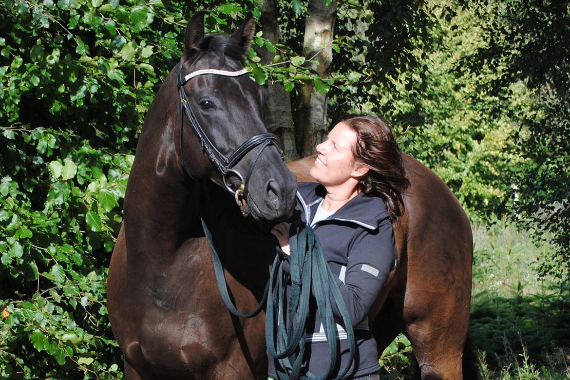 Trakehner V-Power Horsebo - Min mor og smukke smukke pollemand billede 14