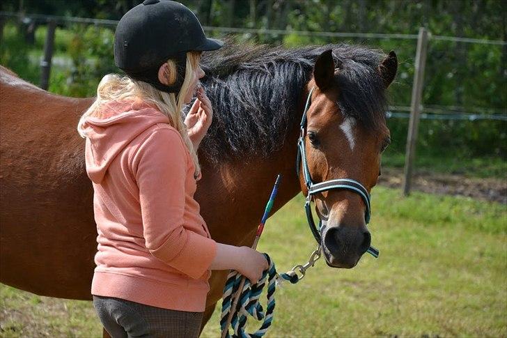 Anden særlig race Ivan (Charmetrolden) :D - Træning på ridelejr med Ivan <3 billede 1