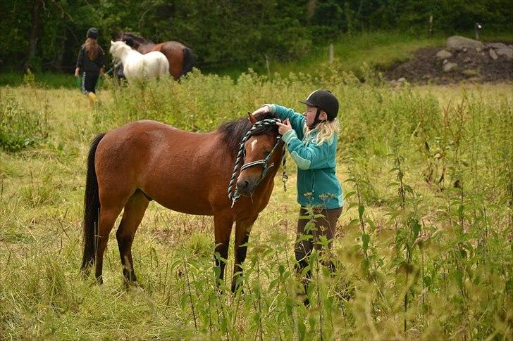 Anden særlig race Ivan (Charmetrolden) :D - Øv nu skal hun ligge grime på mig :/ billede 3