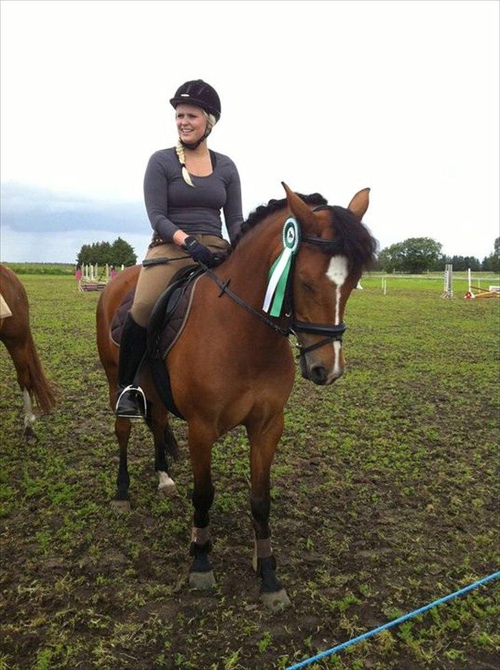 New Forest Miss Melbourne *Solgt* billede 19