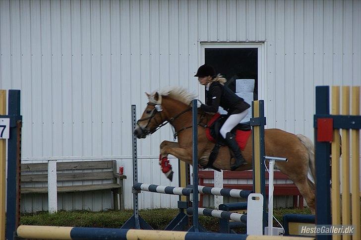 Haflinger Cirkeline<3 - Sindal aftenstævne d.17 August 2011 C-stævne 
-Hun er så sej!<3 billede 2