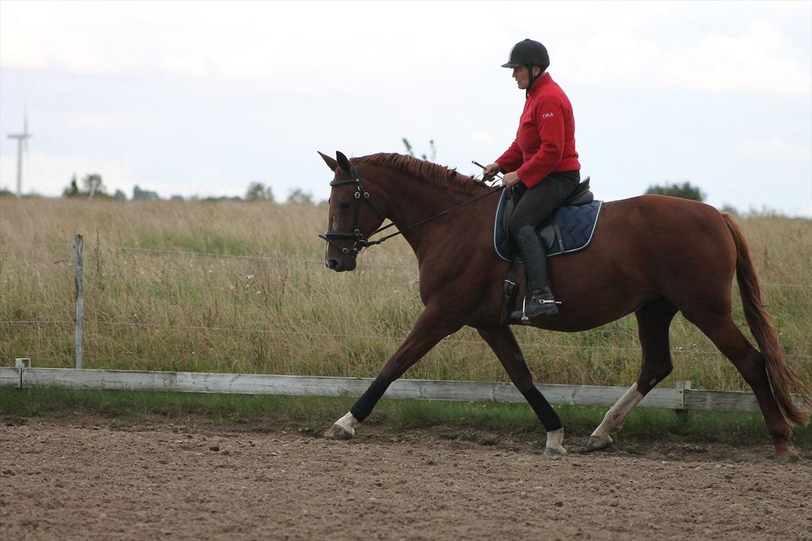 Frederiksborg Taizi brentedal billede 16