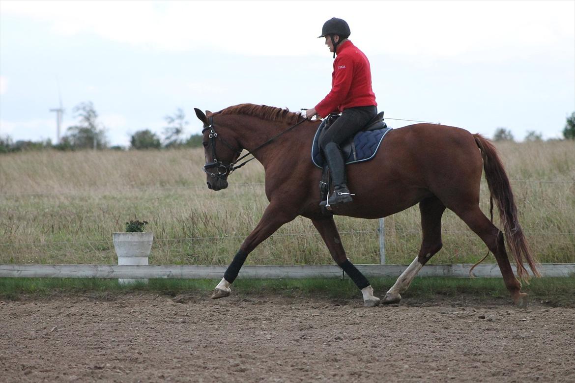 Frederiksborg Taizi brentedal billede 4
