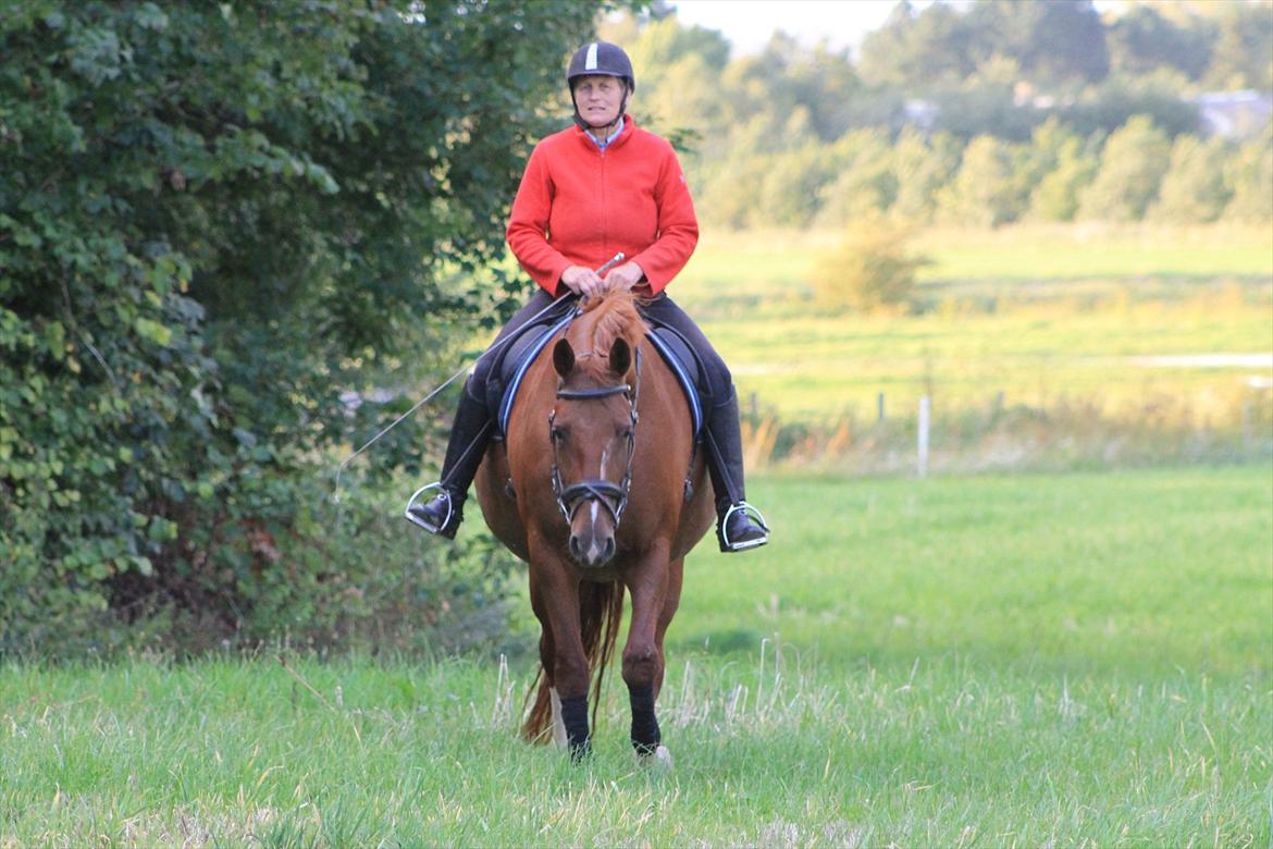 Frederiksborg Taizi brentedal billede 2