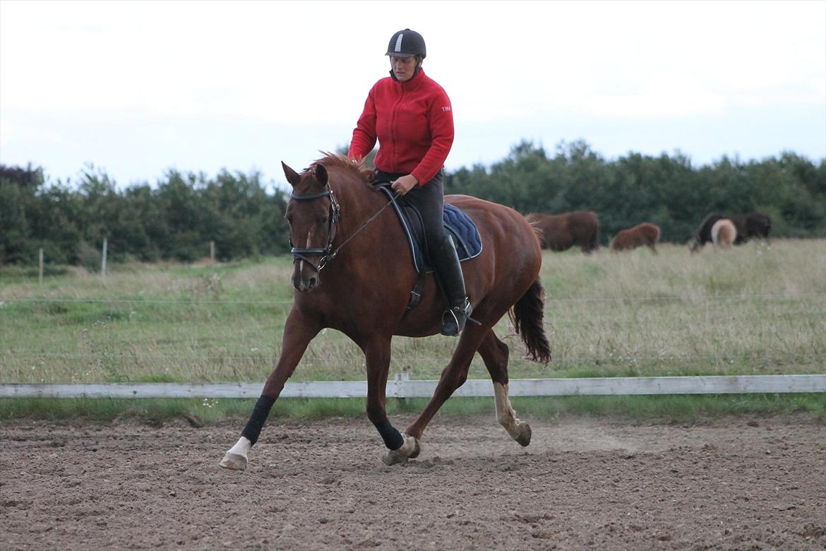 Frederiksborg Taizi brentedal billede 7