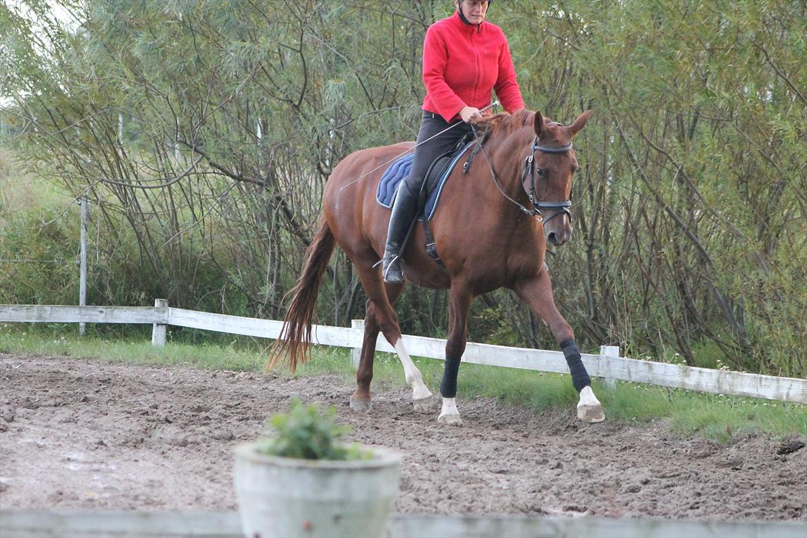 Frederiksborg Taizi brentedal billede 18