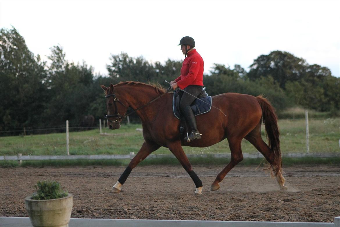 Frederiksborg Taizi brentedal billede 19