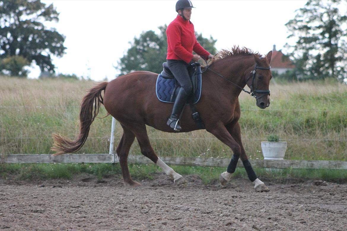 Frederiksborg Taizi brentedal billede 20
