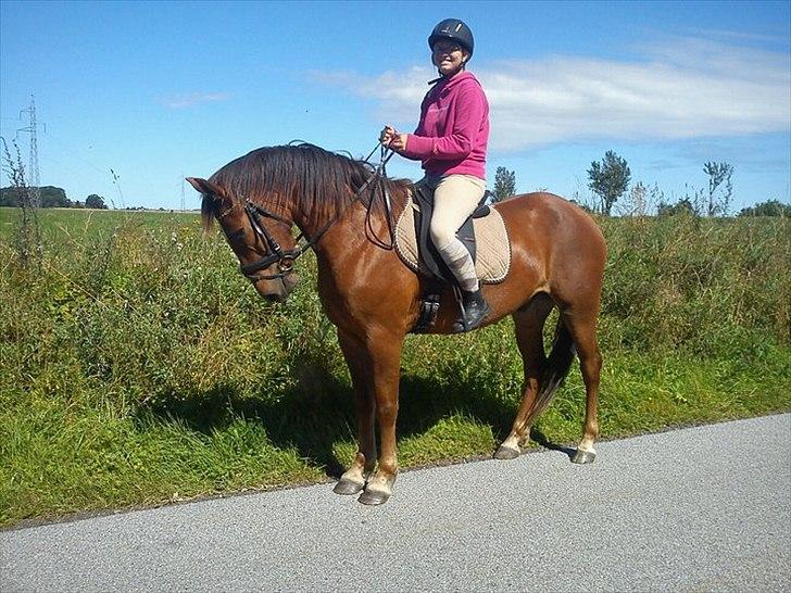 Anden særlig race Lukas Kashmir - 3 gang på alene tur..  billede 13